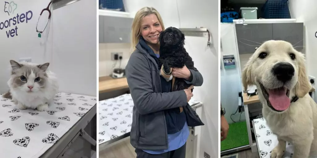 Introducing Doorstep Vet’s new pet health plan: simple, convenient and affordable care for your furry friend