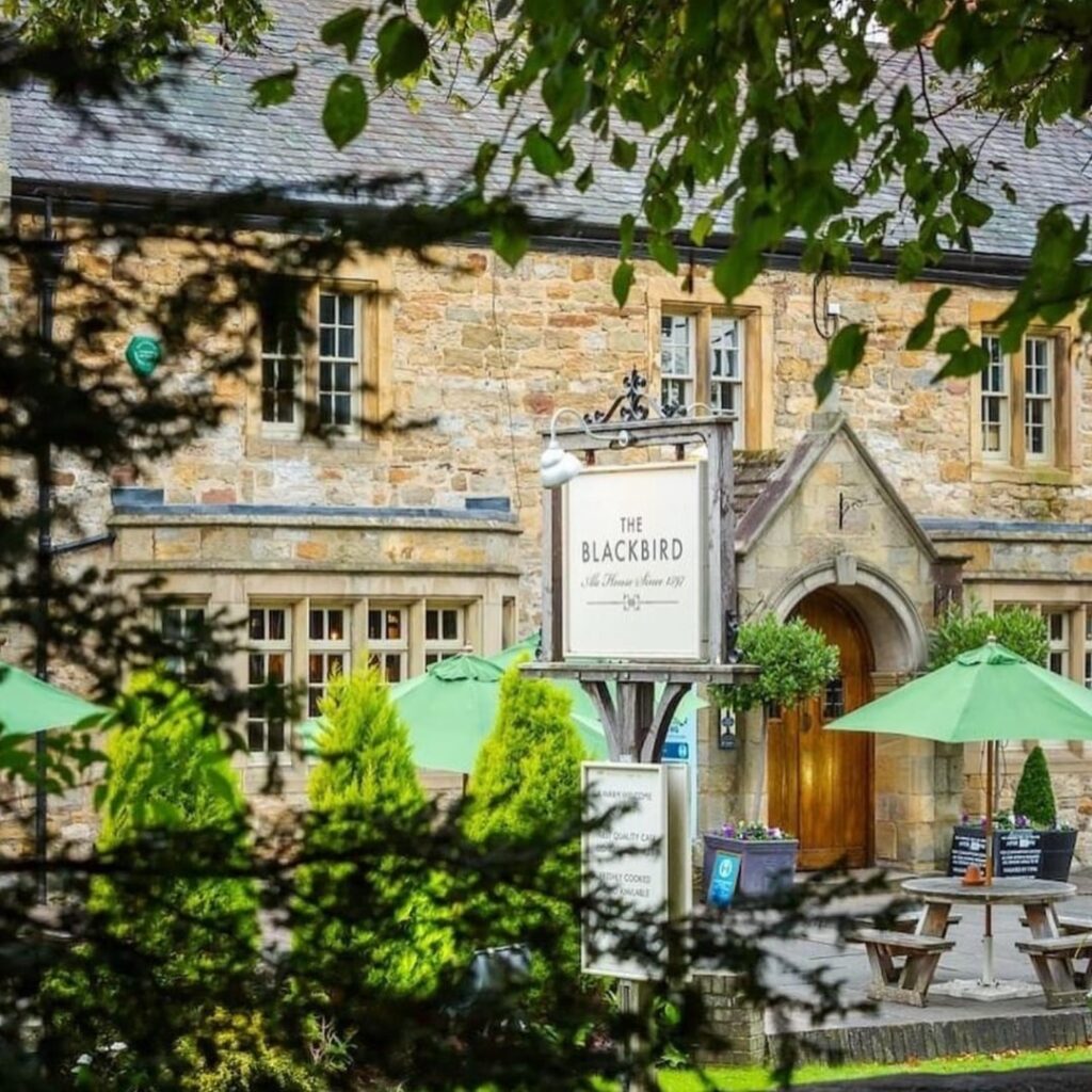 The Blackbird Ponteland best beer gardens and outdoor terraces in Newcastle