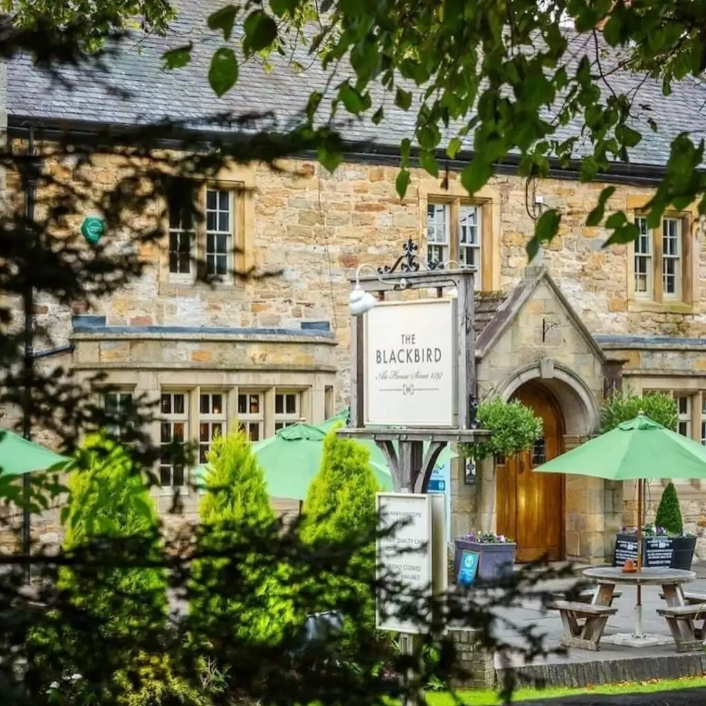 The Blackbird Ponteland best beer gardens and outdoor terraces in Newcastle