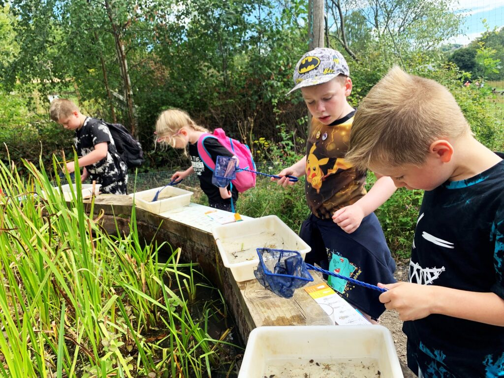 Children gather around a pond enclosure at Washington Wetland Centre. They use nets, trays and magnifying glasses to catch creatures and examine them.