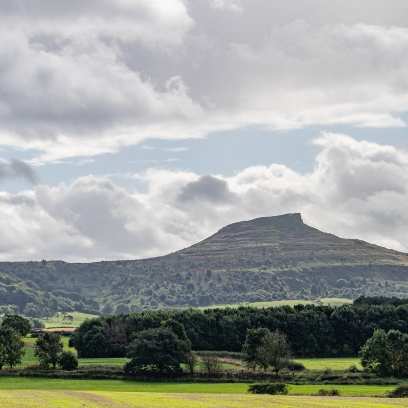 Guisborough Forest & Walkway - discover breathtaking views as you take a walk through stunning natural scenery at Guisborough Forest.