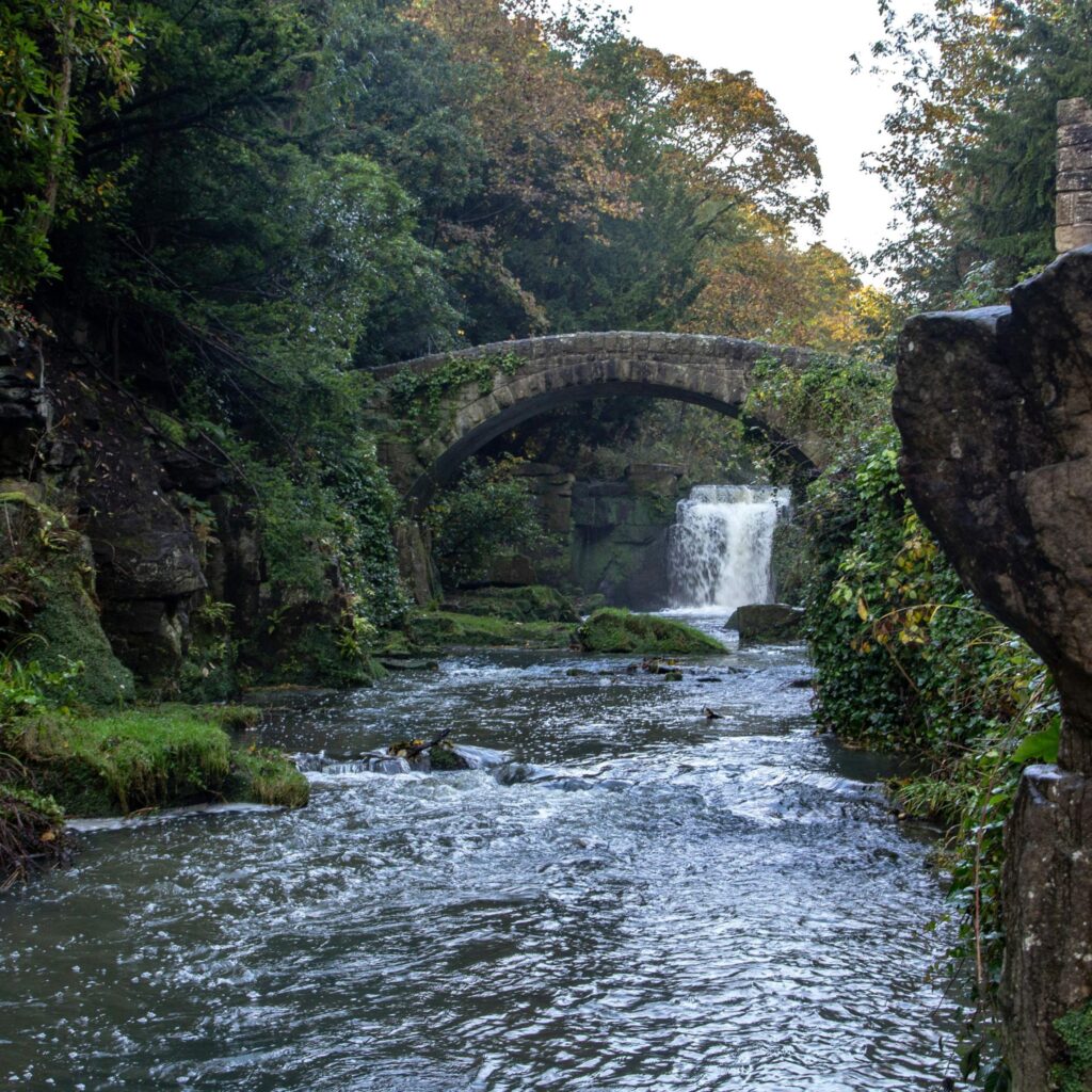 Free things to do in the North East