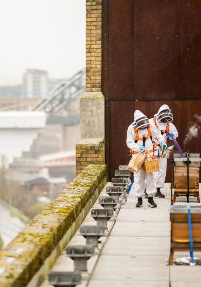 7 things to do in the North East this weekend
