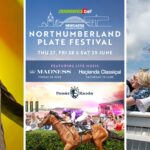 Madness, Hacienda Classical and win up to £150k – Plate Day 2024 at Newcastle Racecourse