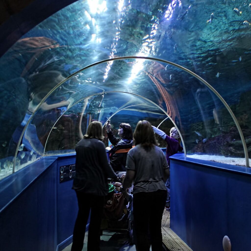 Seas the day: 5 coast-to-coast adventures in the North East