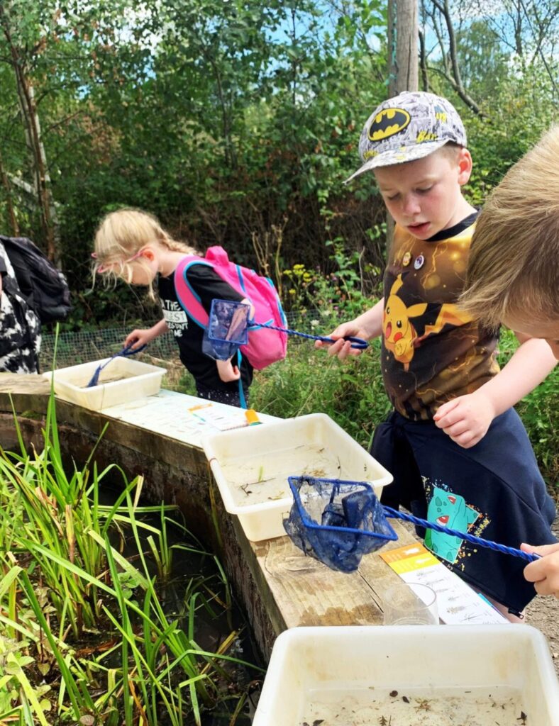 Washington Wetland Centre is the perfect place to entertain the kids this summer – here’s what’s on…