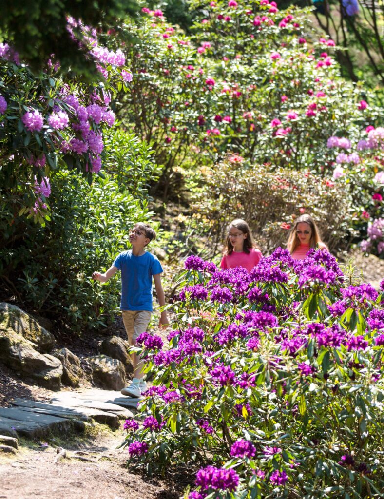 Cragside Northumberlandd