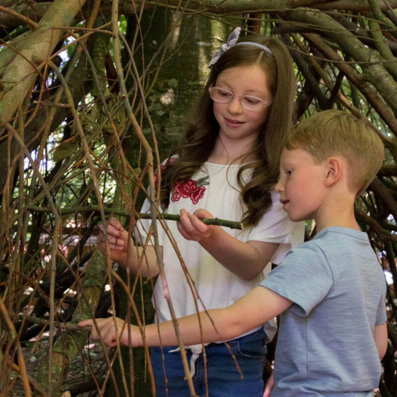 Den building – various dates 