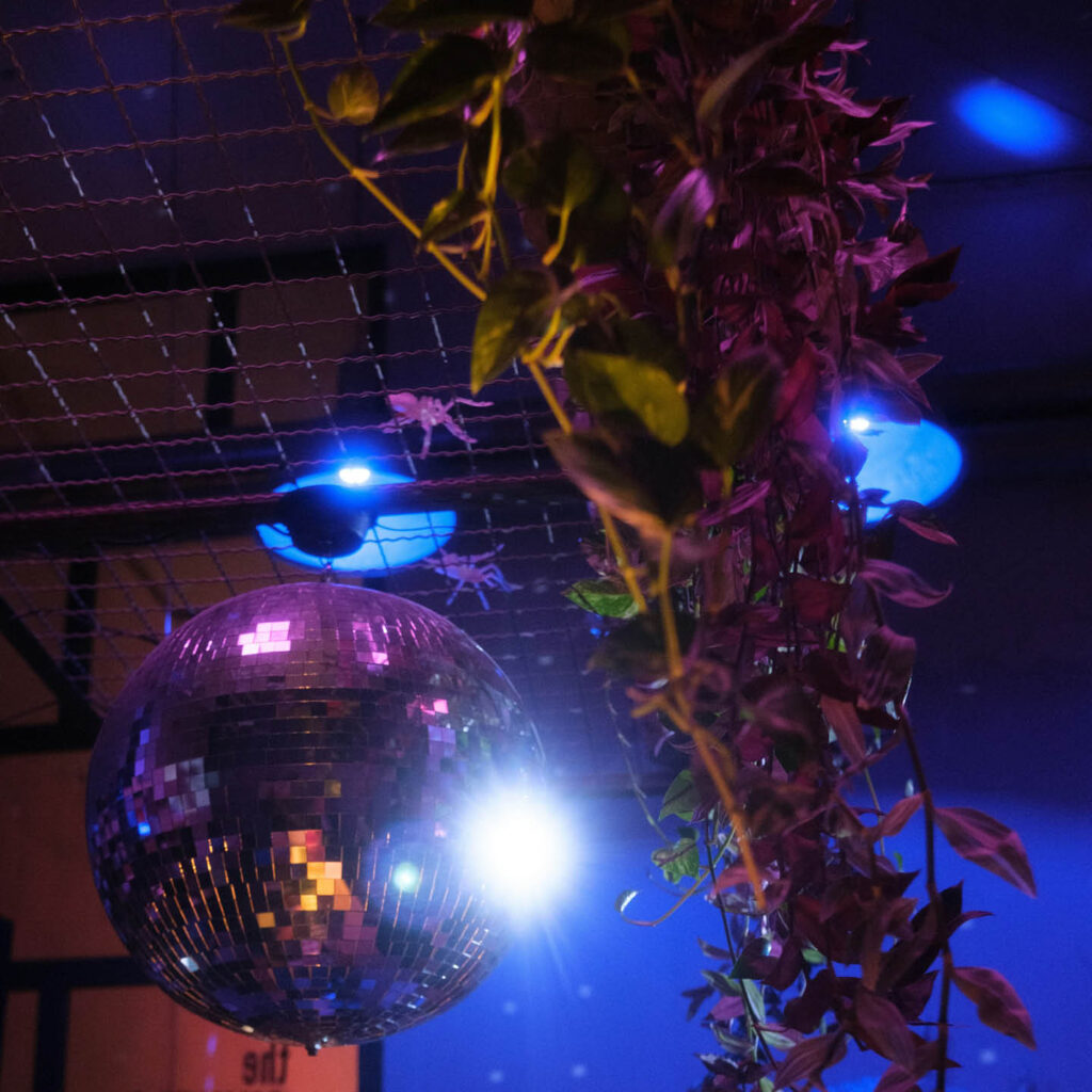 A disco ball hangs in a dimly lit room next to some trailing plants.