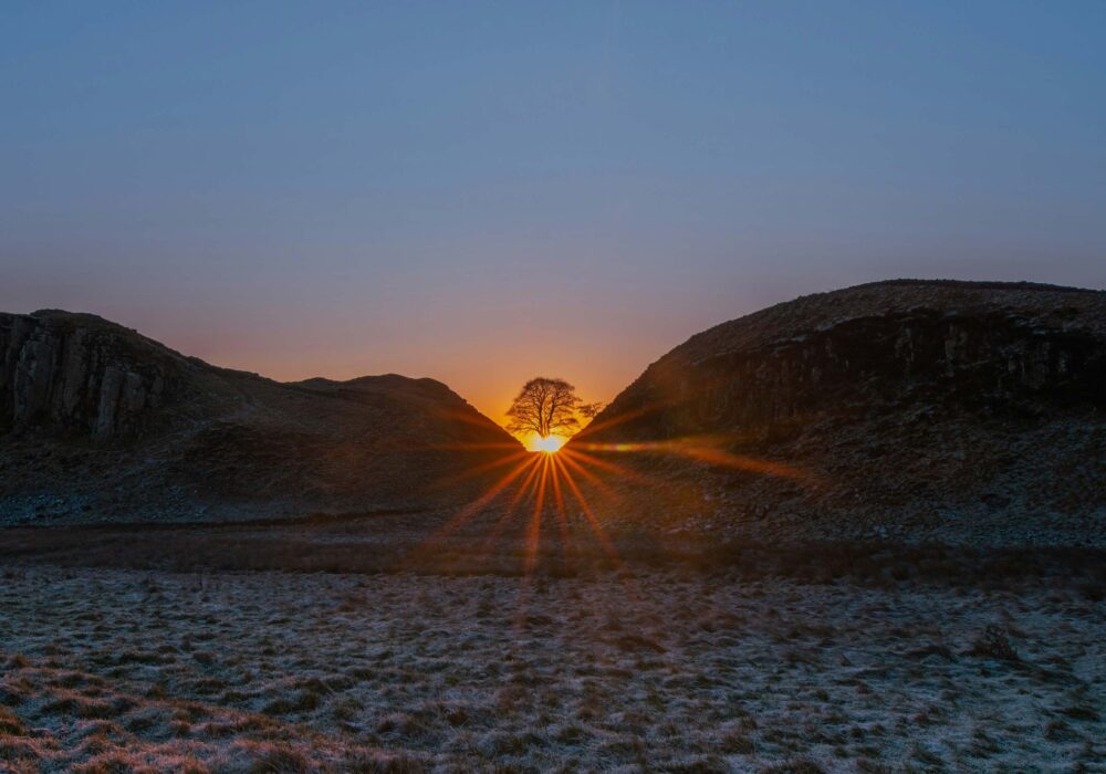 Remember Sycamore Gap with this beautiful 1-hour walk