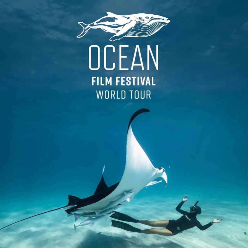 A diver floats above the sandy seabed in a blue ocean. Above them, a huge black and white sting ray spreads its fins. The Ocean Film Festival logo is positioned above them.