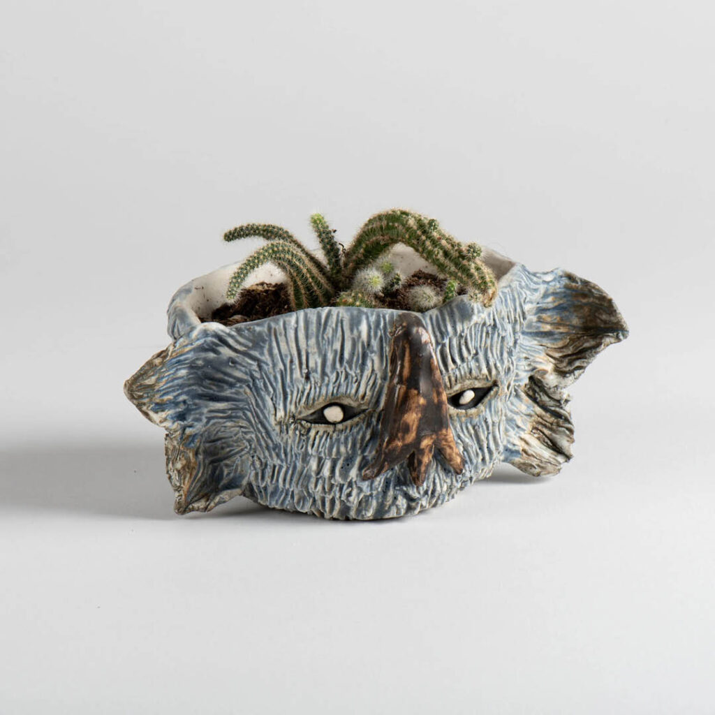 A multi fronded cactus is planted in a ceramic pot. The pot is shaped like a monster head and has been painted blue.