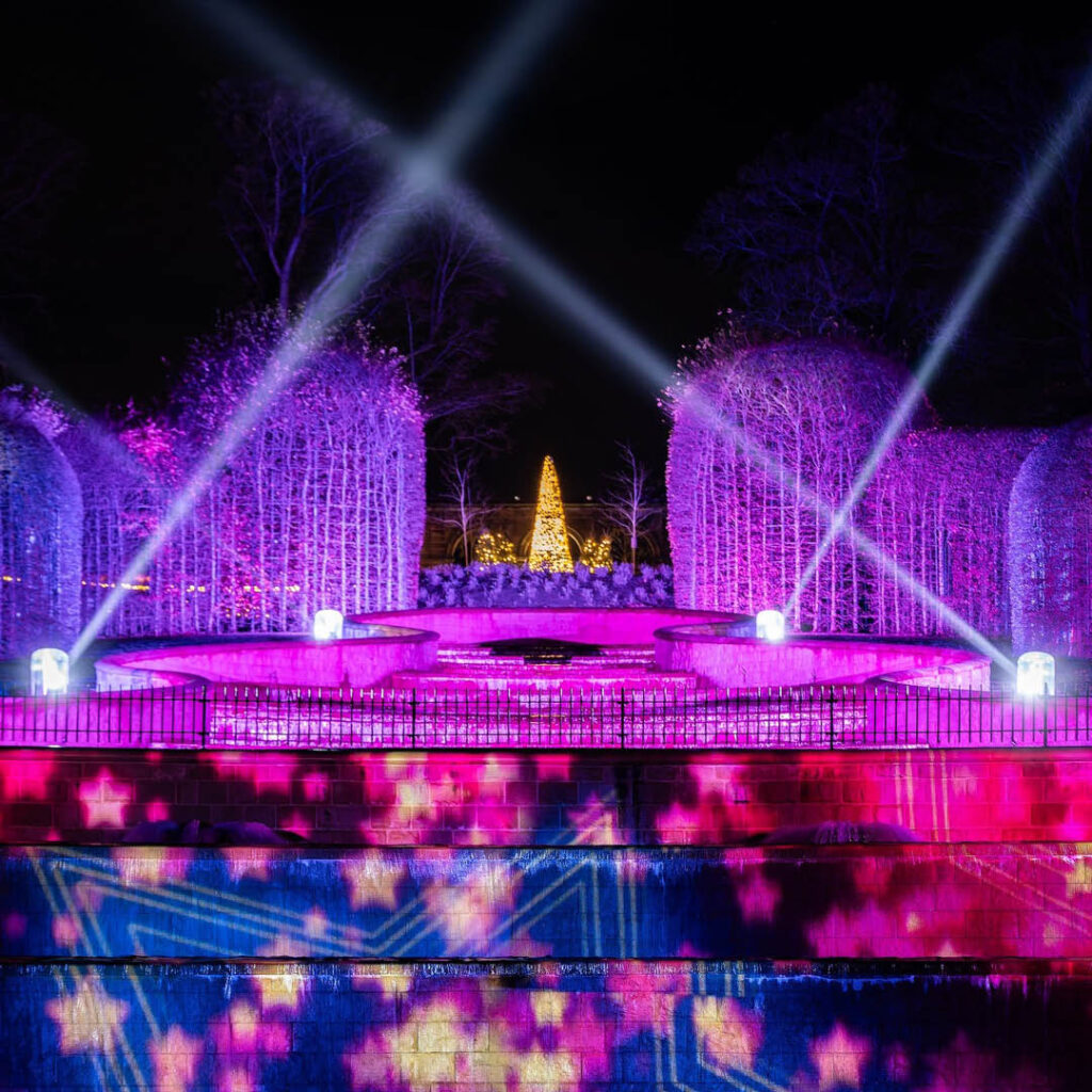 Alnwick Garden fountain illuminated in purple light, stars and strobelights.