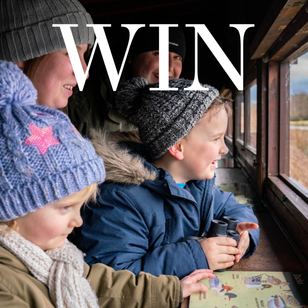 WIN a family pass to Mudfest and a £40 spending credit at WWT Washington Wetland Centre