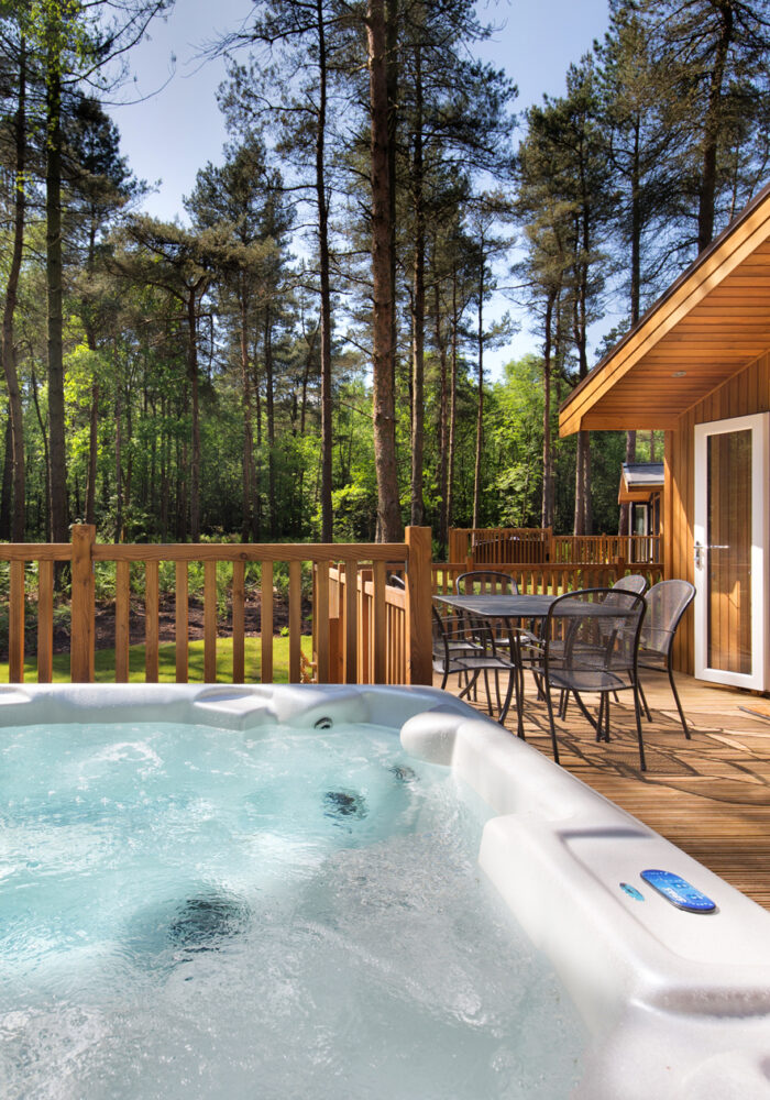 Pinelodge Holidays’ Darwin Forest