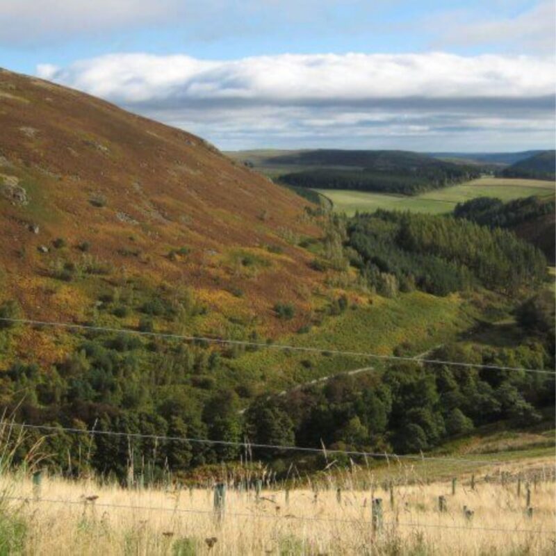 The Cheviot Hills