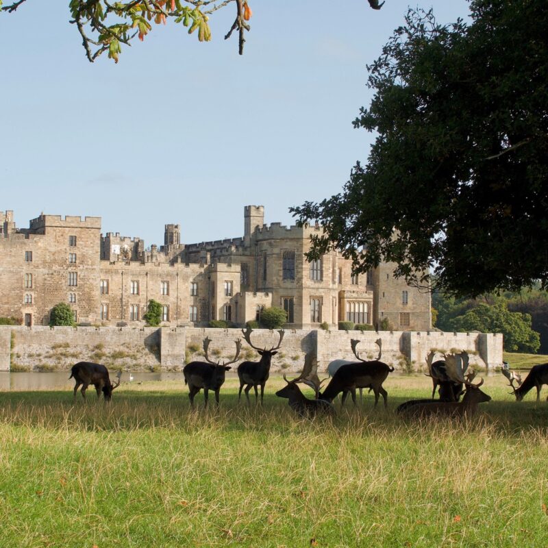 Raby Castle 