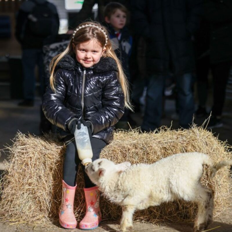 White House Farm Centre 