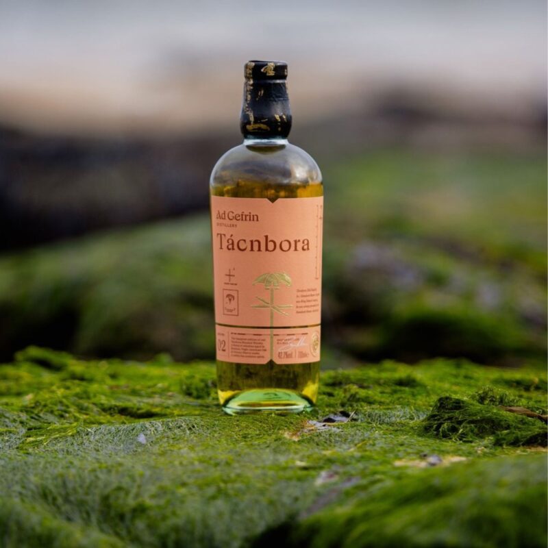 Tácnbora - £42.50