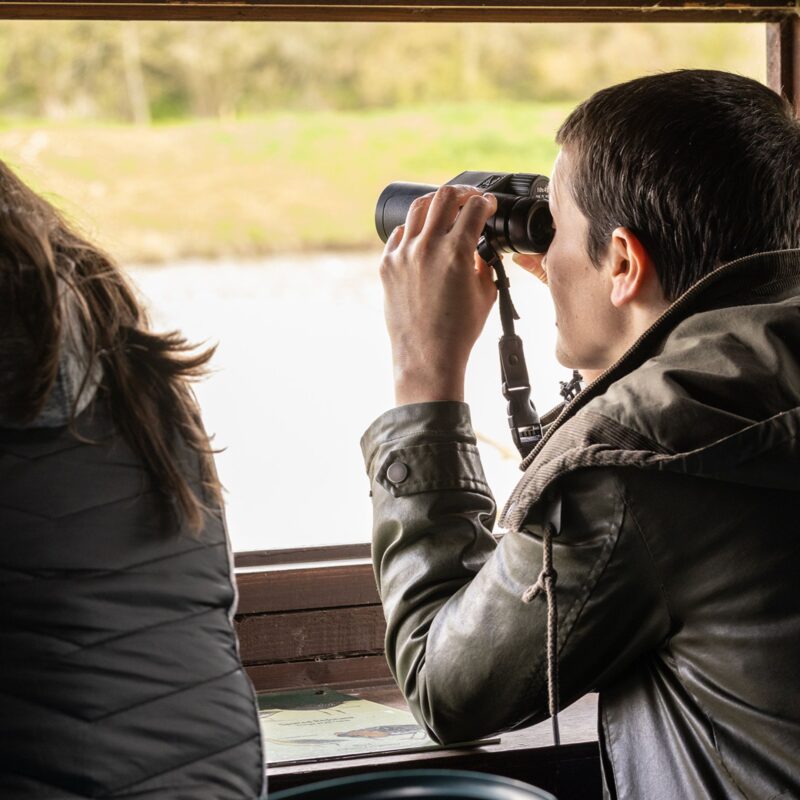 WWT Washington Wetland Centre
