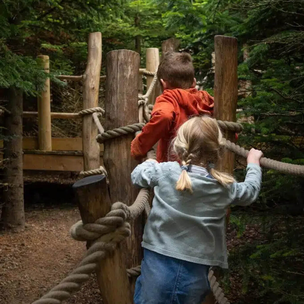 A little boy and girl run along a raised wooden walkway which winds between the trees at Raby Castle.