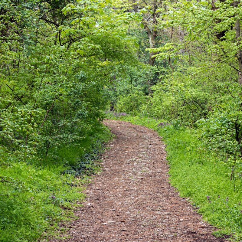 Tracks ‘n’ Trails (Northumberland) – Sunday 30th March 