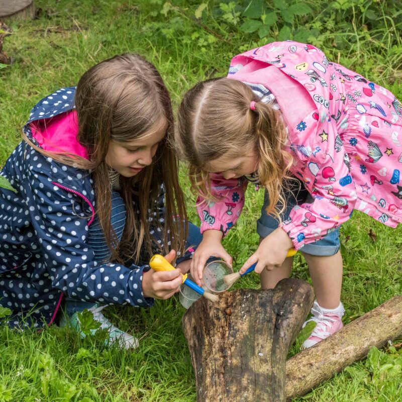Mini beast hunting – various dates 