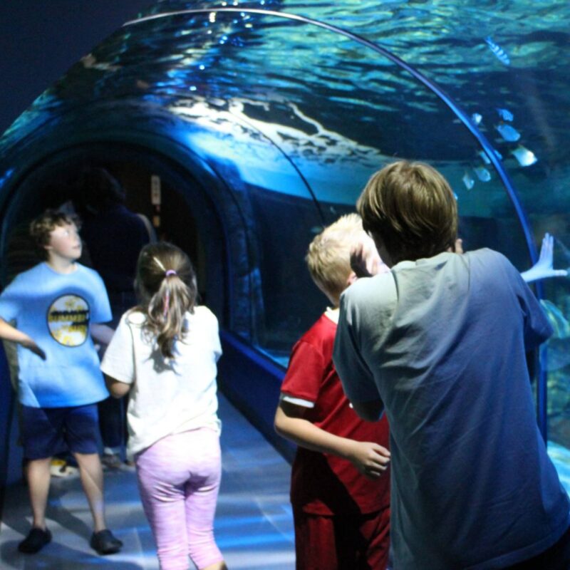 Exploris Aquarium