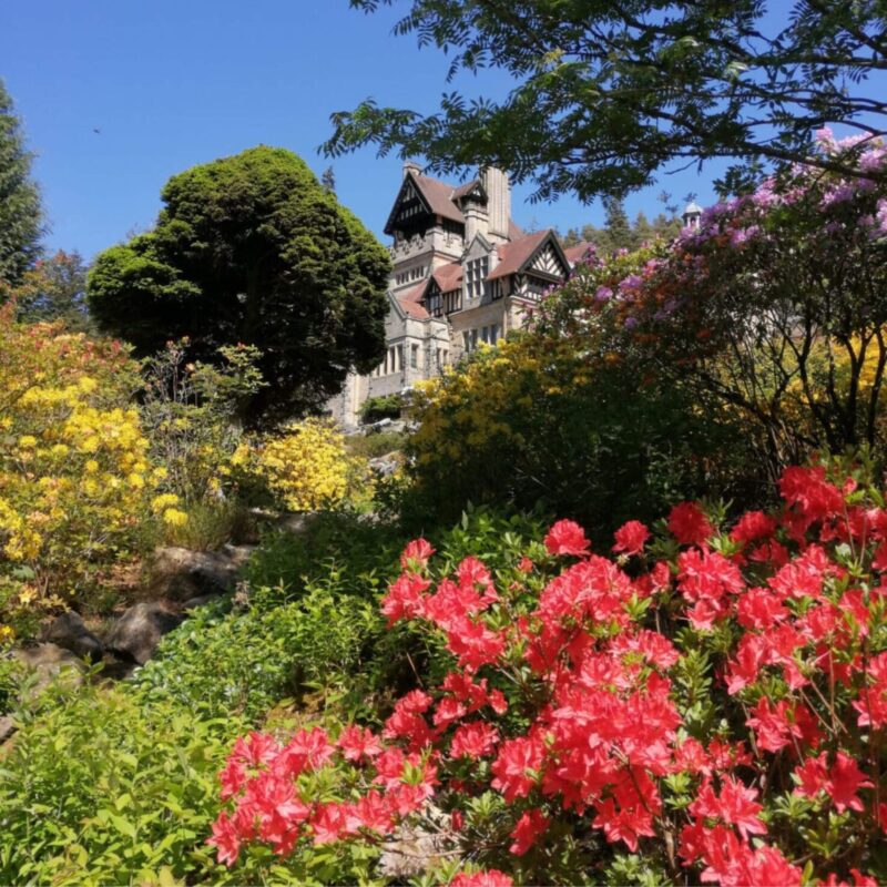 Cragside