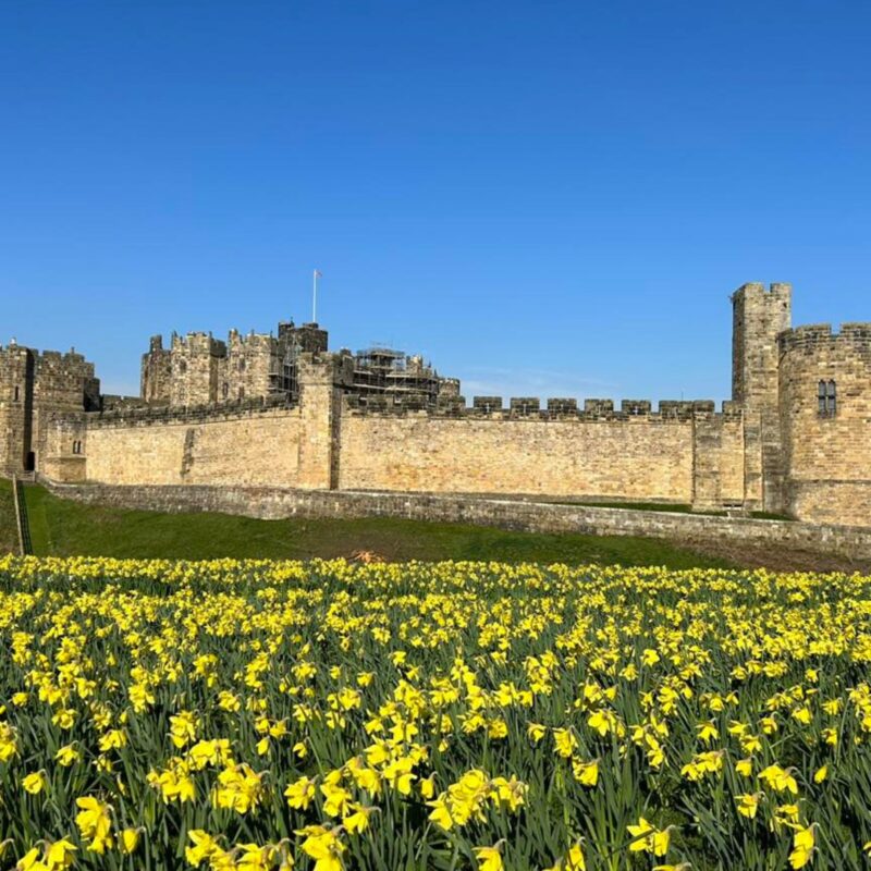 Alnwick Castle 