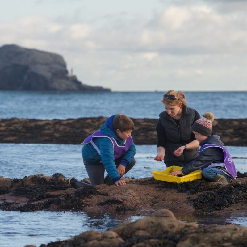 Scottish Seabird Centre 