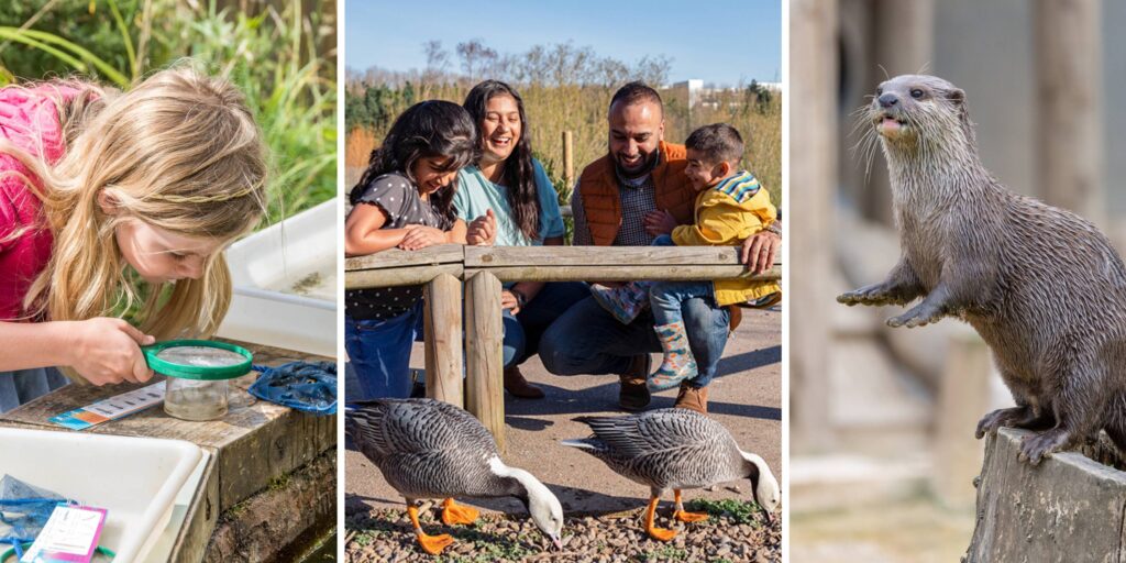 Washington Wetland Centre