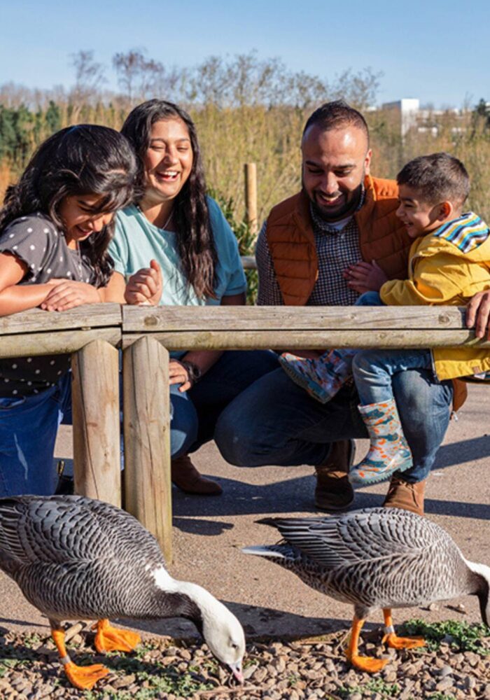 Washington Wetland Centre
