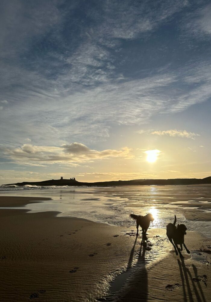 32 hidden gems in the North East, as voted by HLN’ers