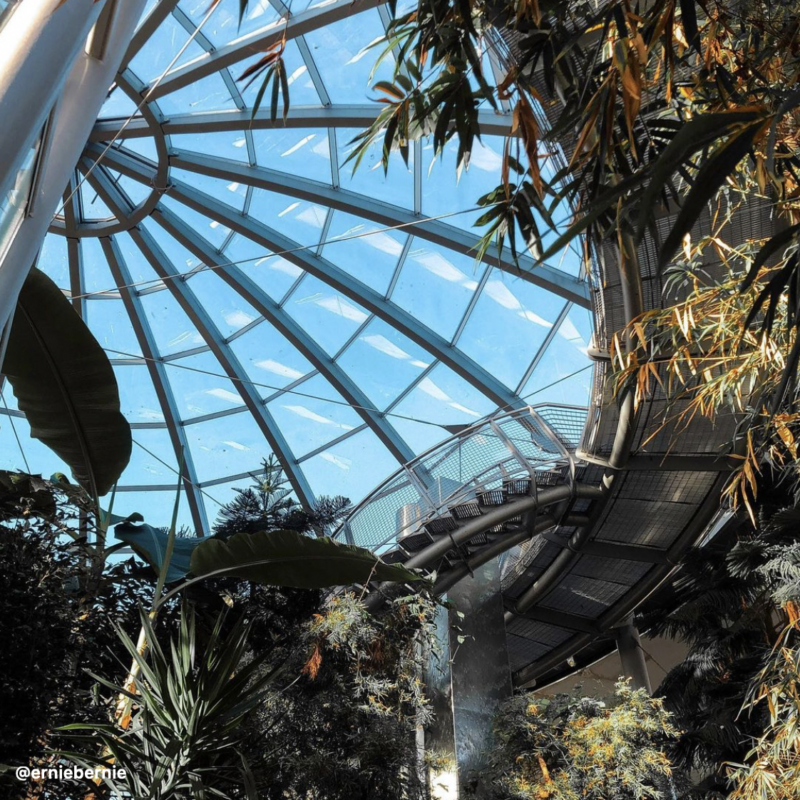 Sunderland Museum and Winter Gardens 