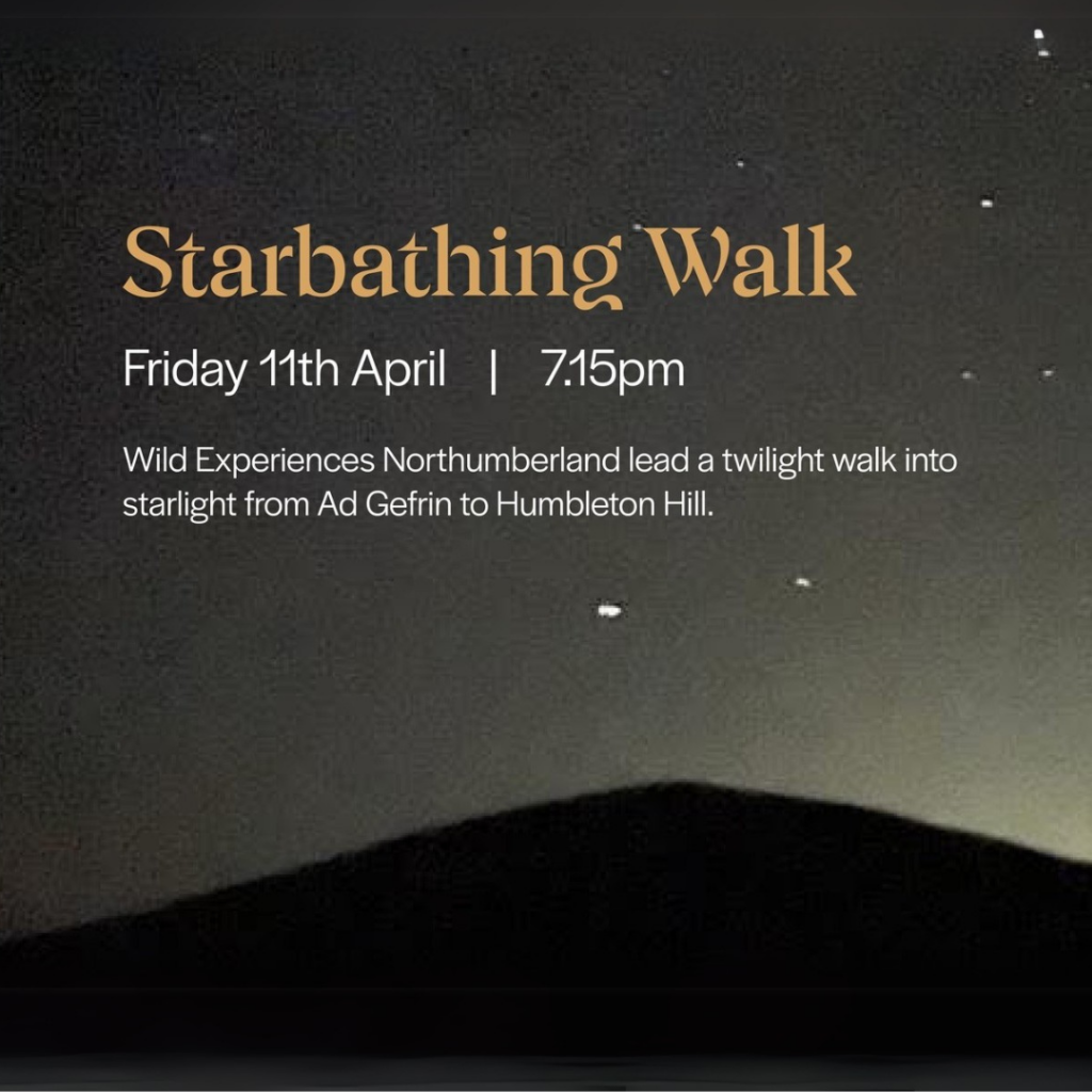The silhouette of a hill against a dark, starry sky. Overlaying text says: Star bathing walk, Friday 11th April. It goes on to give more details about the event at Ad Gefrin.