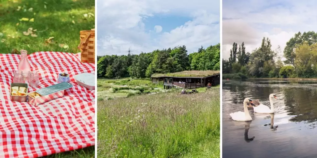 Bask and bite: 12 of the best picnic spots across the North East