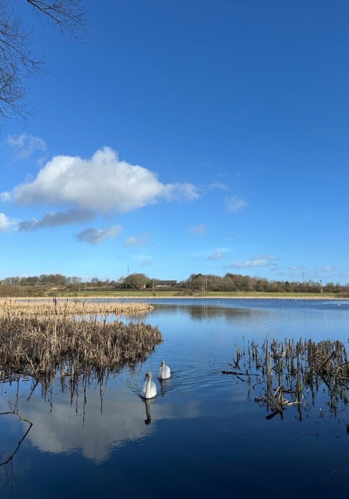 Step into summer: 6 North East walks to boost wellness and hit your step goals