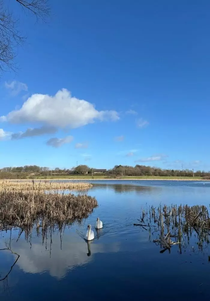Step into summer: 6 North East walks to boost wellness and hit your step goals