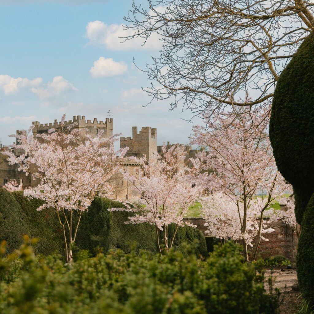 Raby Castle announces eggciting free events this Easter - not to be missed