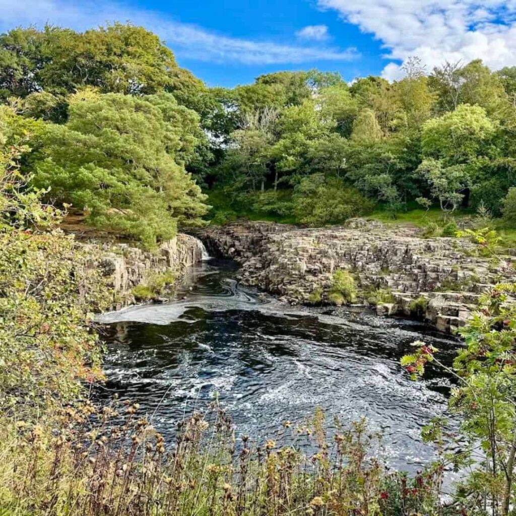 Wild swimming north east