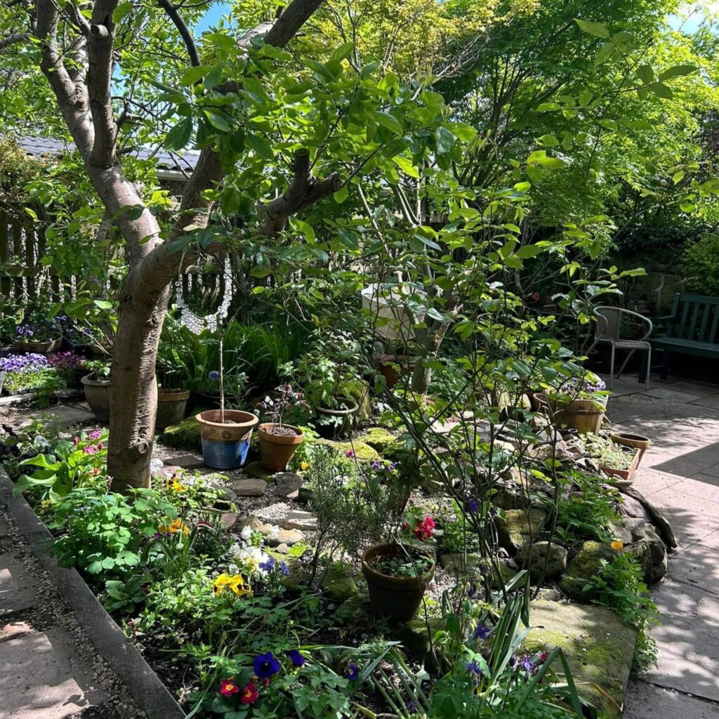 Community gardens to visit in the North East