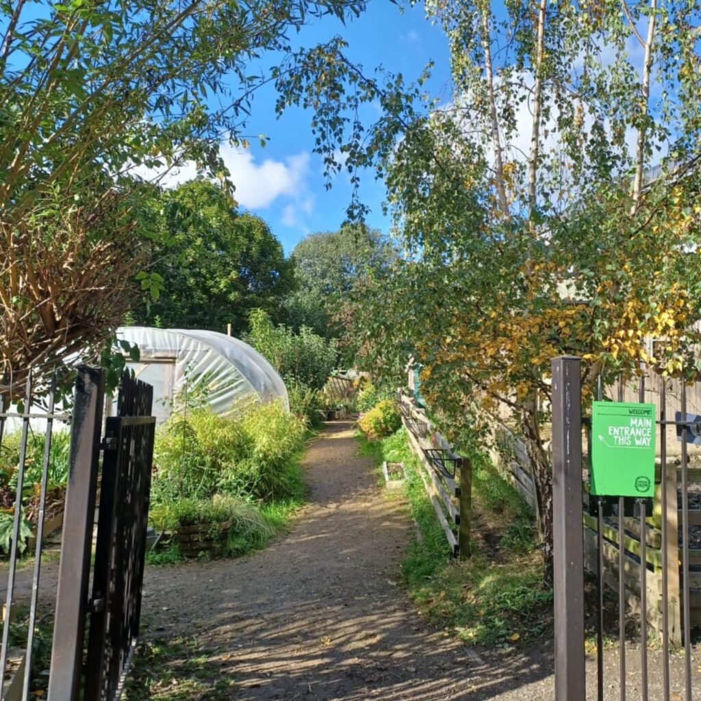 Community gardens to visit in the North East