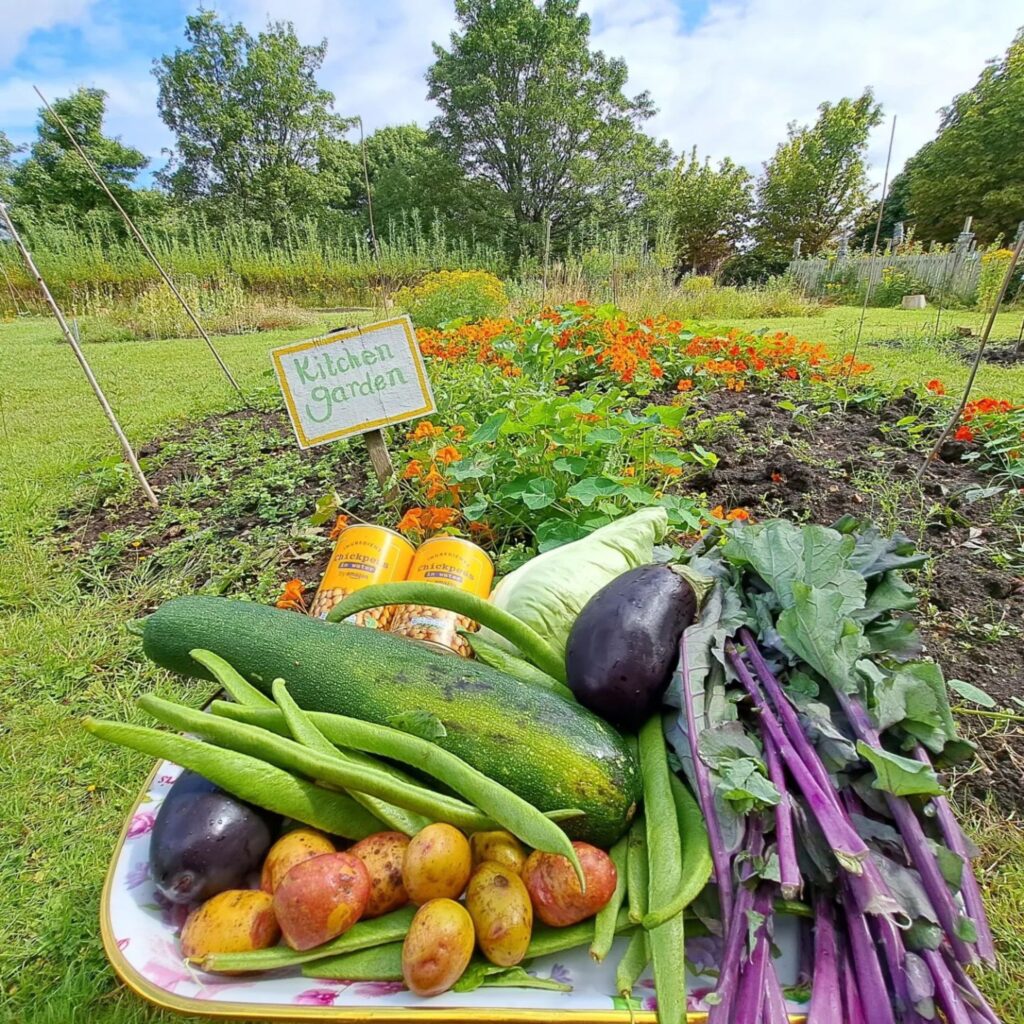Community gardens to visit in the North East