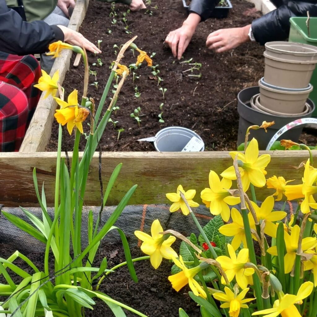 Community gardens to visit in the North East