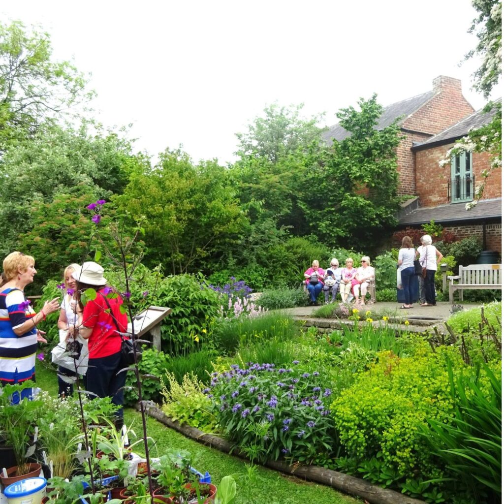 Community gardens to visit in the North East