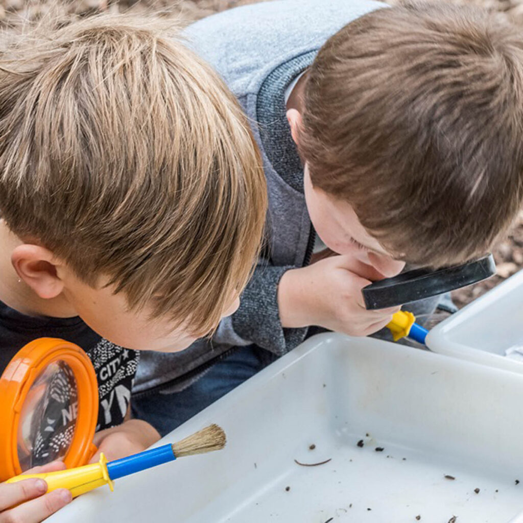 Two boys peer over a white tray to look at the insects in there. They hold magnifying glasses and brushes. They are taking part in minibeast hunting at Washington Wetland Centre.