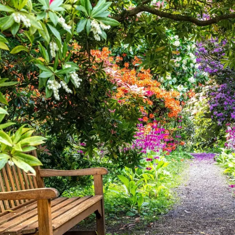 Howick Hall & Gardens 