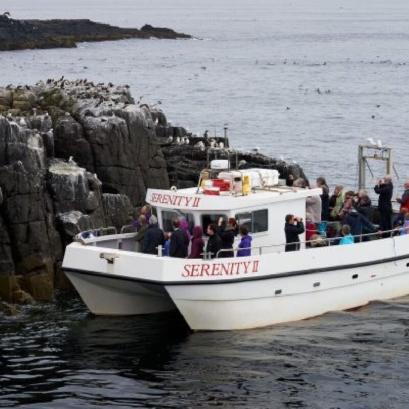 Serenity Farne Island Boat Tours