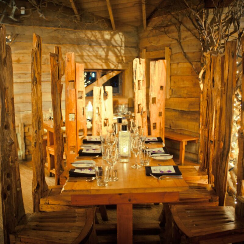 The Treehouse Restaurant at Alnwick Gardens